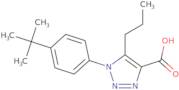 1-(4-tert-Butylphenyl)-5-propyl-1H-1,2,3-triazole-4-carboxylic acid