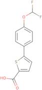 5-[4-(Difluoromethoxy)phenyl]thiophene-2-carboxylic acid