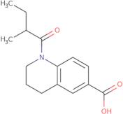 1-(2-Methylbutanoyl)-1,2,3,4-tetrahydroquinoline-6-carboxylic acid