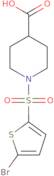 1-[(5-Bromothiophen-2-yl)sulfonyl]piperidine-4-carboxylic acid