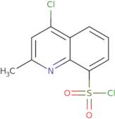 4-Chloro-2-methylquinoline-8-sulfonyl chloride