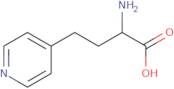 2-Amino-4-(pyridin-4-yl)butanoic acid