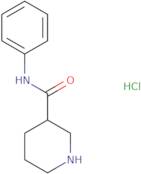 N-Phenylpiperidine-3-carboxamide hydrochloride