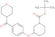 3-[4-(Morpholine-4-carbonyl)-phenoxy]-piperidine-1-carboxylic acid tert-butyl ester