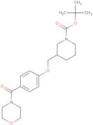3-[4-(Morpholine-4-carbonyl)-phenoxymethyl]-piperidine-1-carboxylic acid tert-butyl ester