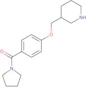 (4-(Piperidin-3-ylmethoxy)phenyl)(pyrrolidin-1-yl)methanone