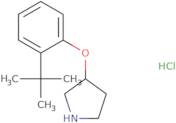 3-[2-(tert-Butyl)phenoxy]pyrrolidine hydrochloride