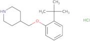 2-(tert-Butyl)phenyl 4-piperidinylmethyl ether