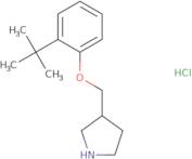 2-(tert-Butyl)phenyl 3-pyrrolidinylmethyl ether