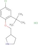 3-{[2-(tert-Butyl)-4-chlorophenoxy]-methyl}pyrrolidine hydrochloride