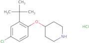4-[2-(tert-Butyl)-4-chlorophenoxy]piperidine hydrochloride