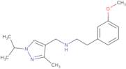 [2-(3-Methoxyphenyl)ethyl]({[3-methyl-1-(propan-2-yl)-1H-pyrazol-4-yl]methyl})amine