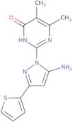 2-[5-Amino-3-(2-thienyl)-1H-pyrazol-1-yl]-5,6-dimethylpyrimidin-4(3H)-one