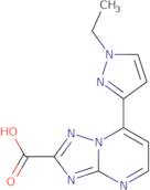 7-(1-Ethyl-1H-pyrazol-3-yl)-[1,2,4]triazolo[1,5-a]pyrimidine-2-carboxylic acid