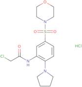 2-Chloro-N-[5-(morpholine-4-sulfonyl)-2-(pyrrolidin-1-yl)phenyl]acetamide hydrochloride