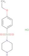1-[(4-Ethoxyphenyl)sulfonyl]piperazine hydrochloride