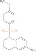 1-[(4-Methoxyphenyl)sulfonyl]-1,2,3,4-tetrahydroquinolin-6-amine