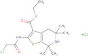 Ethyl 2-(2-chloroacetamido)-5,5,7,7-tetramethyl-4H,5H,6H,7H-thieno[2,3-c]pyridine-3-carboxylate hy…