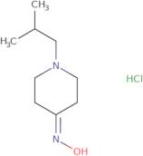 1-Isobutylpiperidin-4-one oxime hydrochloride