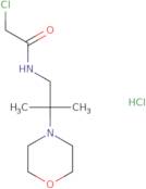 2-Chloro-N-[2-methyl-2-(morpholin-4-yl)propyl]acetamide hydrochloride