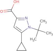 1-tert-Butyl-5-cyclopropyl-1H-pyrazole-3-carboxylic acid