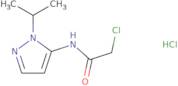 2-Chloro-N-[1-(propan-2-yl)-1H-pyrazol-5-yl]acetamidehydrochloride