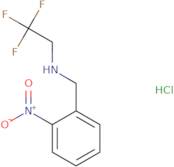 [(2-Nitrophenyl)methyl](2,2,2-trifluoroethyl)amine hydrochloride