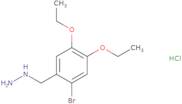 [(2-Bromo-4,5-diethoxyphenyl)methyl]hydrazine hydrochloride