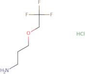 3-(2,2,2-Trifluoroethoxy)propan-1-amine hydrochloride