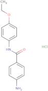 4-Amino-N-(4-ethoxyphenyl)benzamide hydrochloride