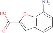 7-Amino-1-benzofuran-2-carboxylic acid