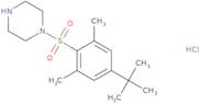 1-[(4-tert-Butyl-2,6-dimethylphenyl)sulfonyl]piperazine hydrochloride