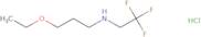 (3-Ethoxypropyl)(2,2,2-trifluoroethyl)amine hydrochloride