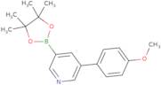 5-(4-Methoxyphenyl)pyridine-3-boronic acid pinacol ester