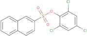 2,4,6-Trichlorophenyl 2-naphthalenesulfonate