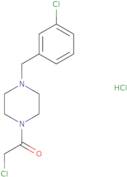2-Chloro-1-{4-[(3-chlorophenyl)methyl]piperazin-1-yl}ethan-1-one hydrochloride