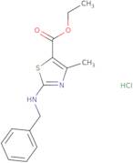 Ethyl 2-(benzylamino)-4-methyl-1,3-thiazole-5-carboxylate hydrochloride