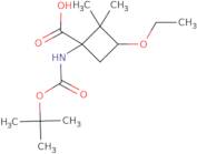 1-{[(tert-Butoxy)carbonyl]amino}-3-ethoxy-2,2-dimethylcyclobutane-1-carboxylic acid