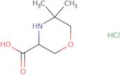 5,5-Dimethylmorpholine-3-carboxylic acid hydrochloride