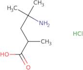 4-Amino-2,4-dimethylpentanoic acid hydrochloride