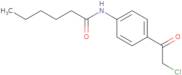 N-[4-(2-Chloroacetyl)phenyl]hexanamide