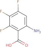 6-Amino-2,3,4-trifluorobenzoic acid