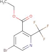 ethyl 5-bromo-2-(trifluoromethyl)nicotinate