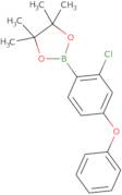 2-Chloro-4-(phenoxy)phenylboronic acid pinacol ester