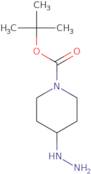 tert-Butyl 4-hydrazinylpiperidine-1-carboxylate