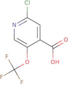 2-chloro-5-(trifluoromethoxy)isonicotinic acid