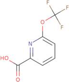 6-(Trifluoromethoxy)pyridine-2-carboxylic acid