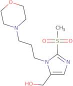 {2-Methanesulfonyl-1-[3-(morpholin-4-yl)propyl]-1H-imidazol-5-yl}methanol
