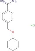 4-[(Cyclohexyloxy)methyl]benzene-1-carboximidamide hydrochloride