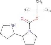 tert-Butyl 2-(pyrrolidin-2-yl)pyrrolidine-1-carboxylate